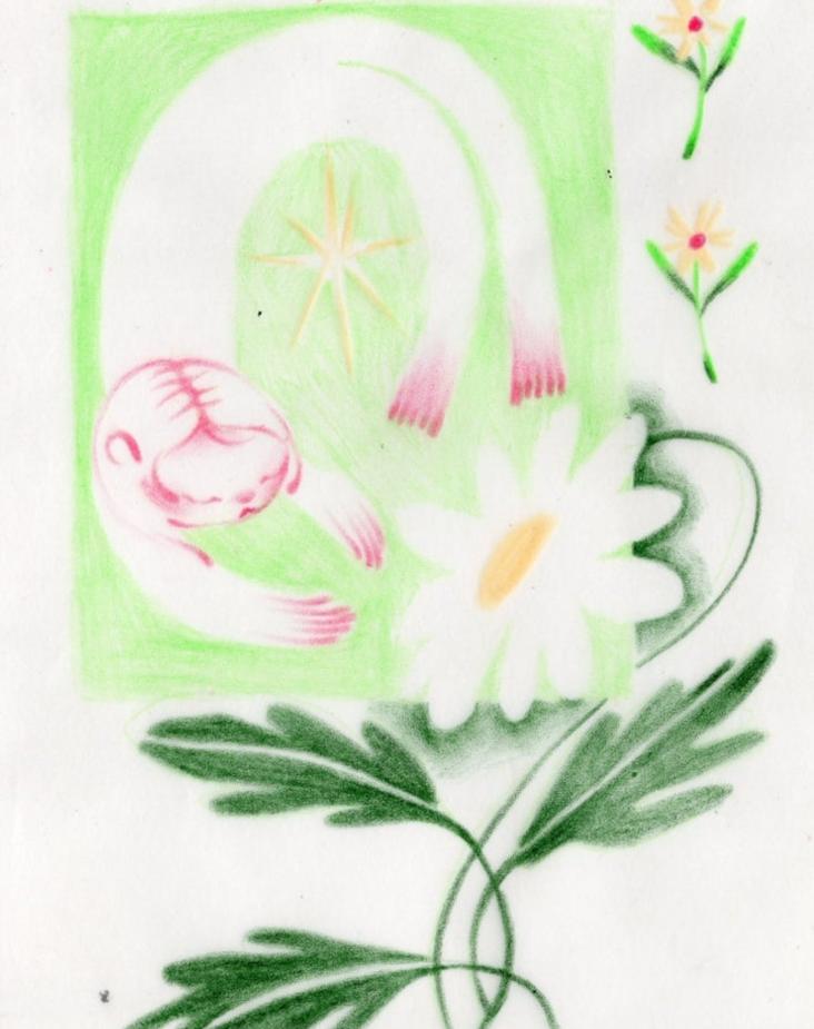 Daisy Fine Art Print